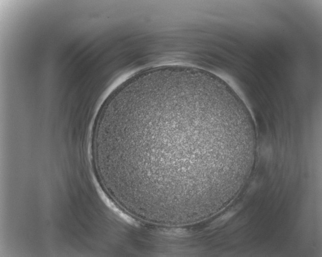 X0000081350957200701182043