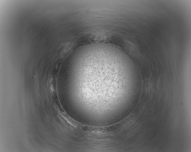 X0000081350962200701182042
