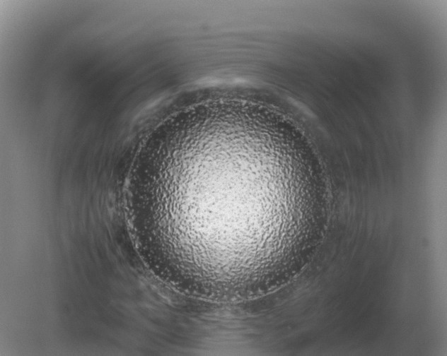 X0000081350966200701182042