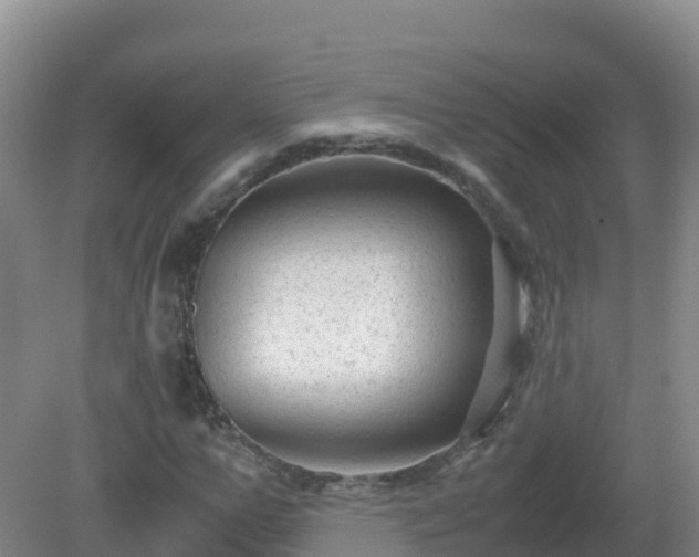 X0000081350967200701182042