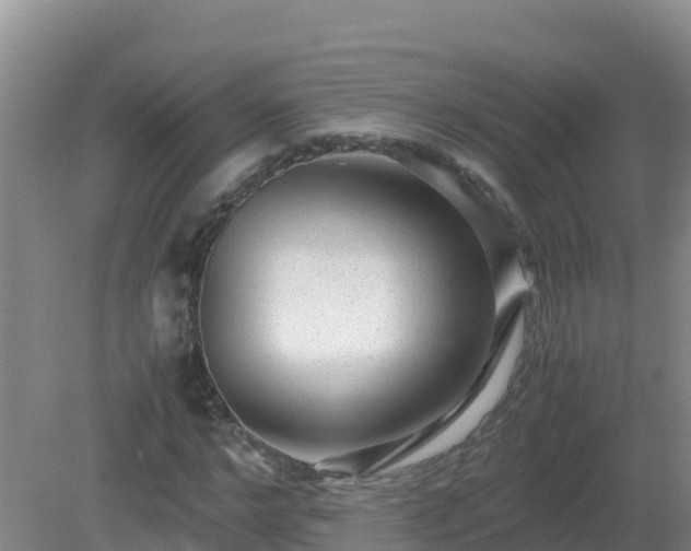 X0000081350968200701182042