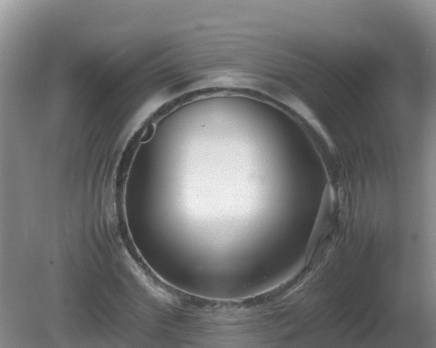 X0000081350972200701182042
