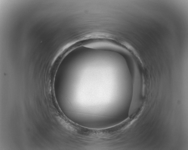 X0000081350973200701182042