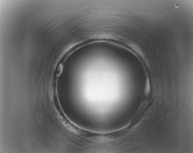 X0000081350984200701182042