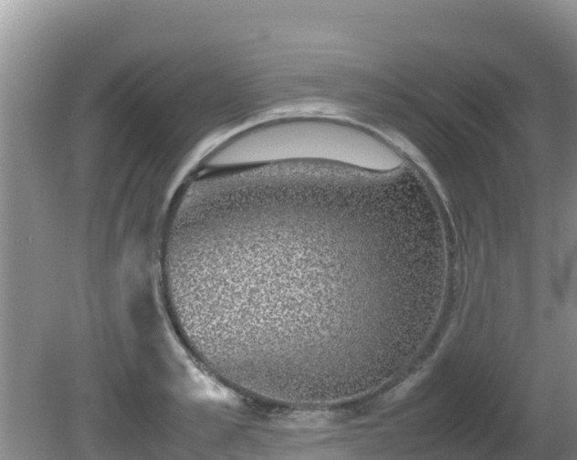 X0000081350989200701182042