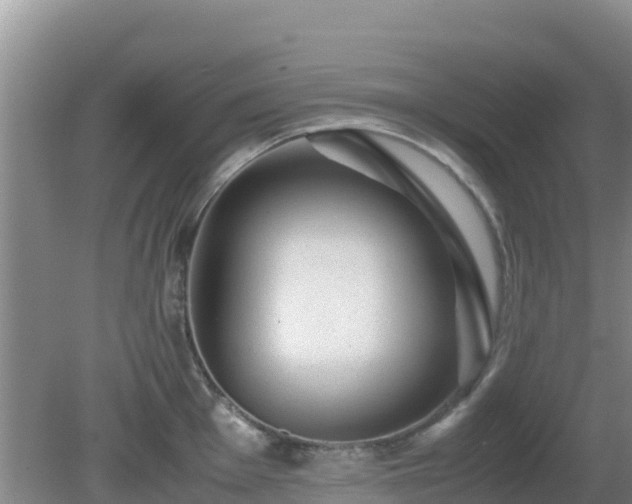 X0000081351001200701182042