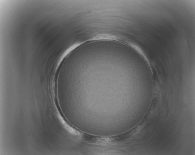 X0000081351003200701182042