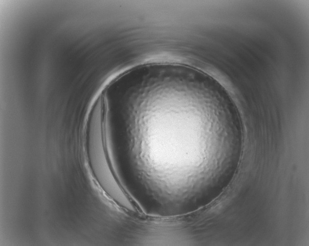X0000081351008200701182042