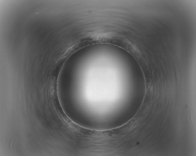 X0000081351012200701182041