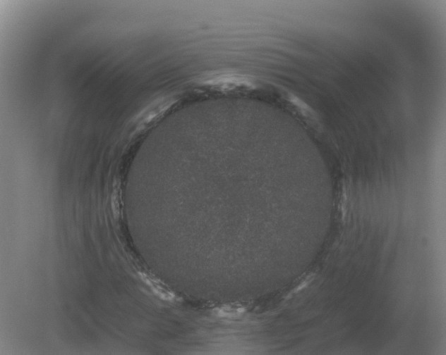 X0000081351014200701182041
