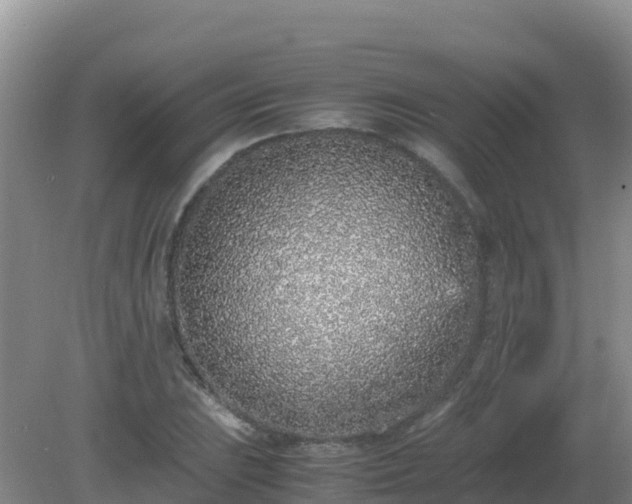 X0000081351023200701182041