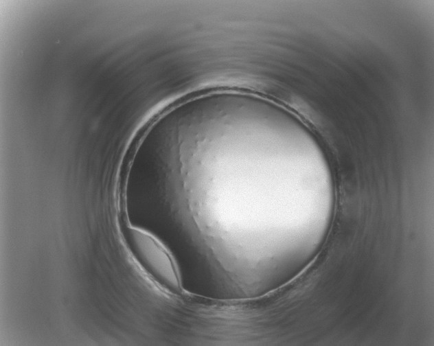 X0000081351028200701182041
