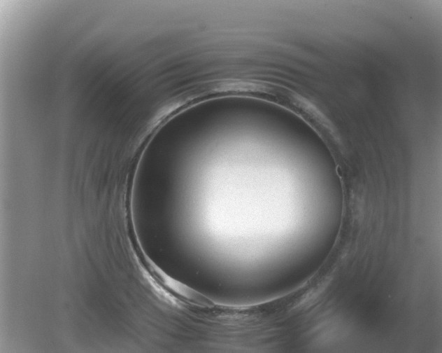 X0000081351033200701182041