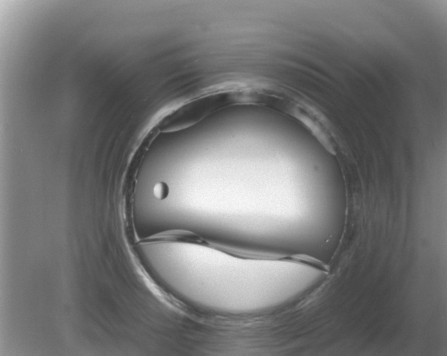 X0000081351034200701182041