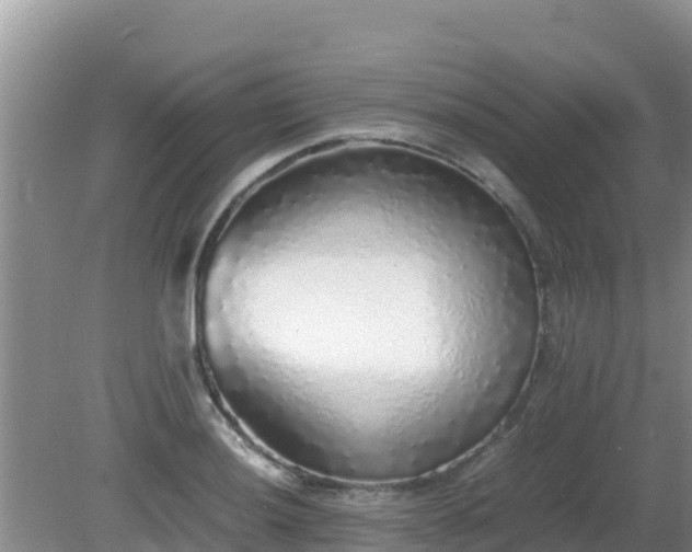 X0000081351036200701182041