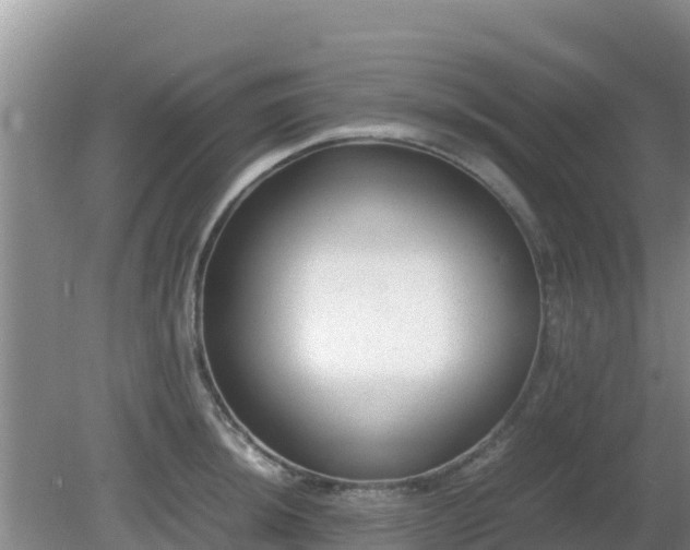 X0000081351044200701182041