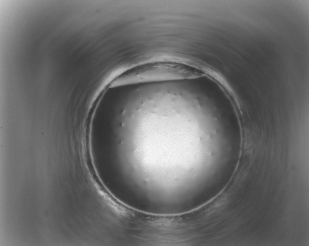 X0000081351048200701182041