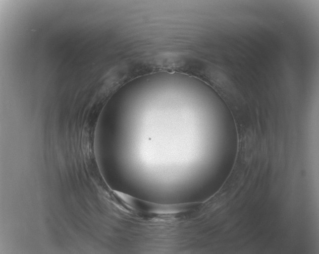 X0000081351058200701182041