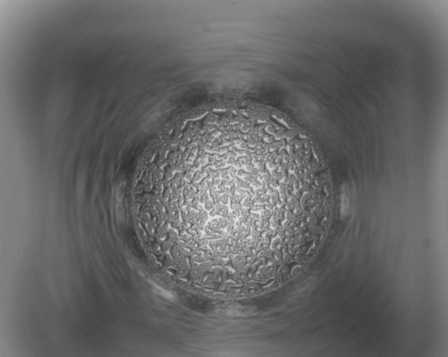 X0000081351059200701182041