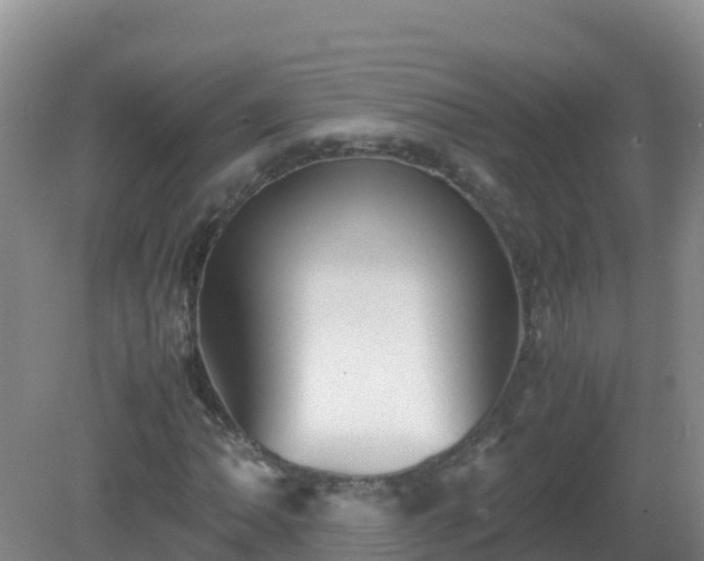 X0000081351062200701182041