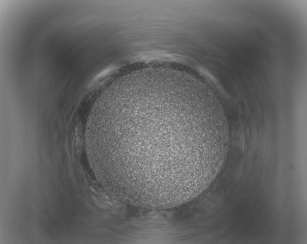 X0000081351063200701182041