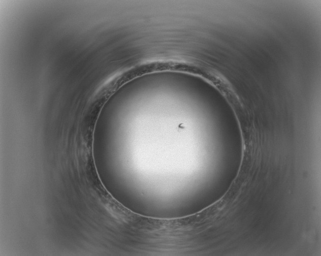 X0000081351064200701182041