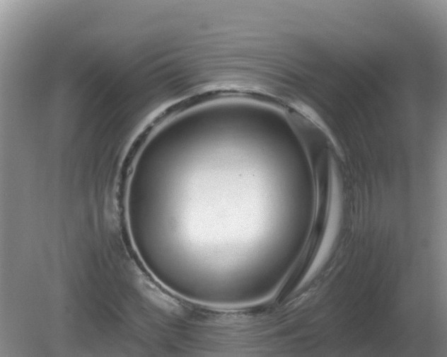 X0000081351068200701182041