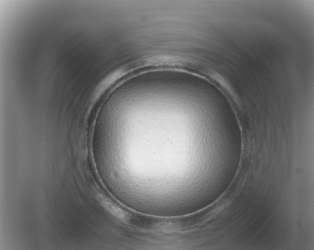 X0000081351075200701182040