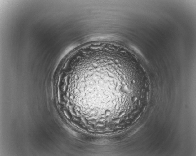X0000081351079200701182040