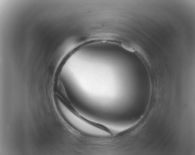 X0000081351085200701182040
