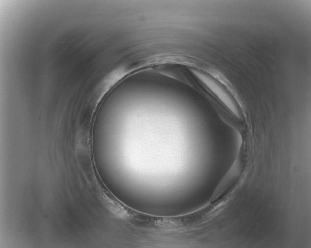 X0000081351089200701182040