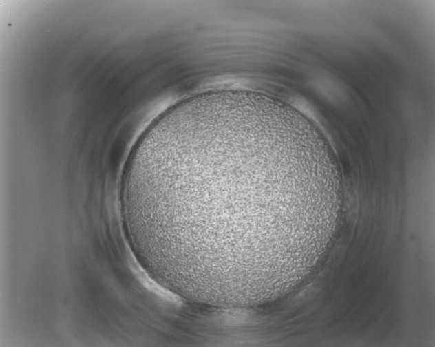 X0000081351090200701182040