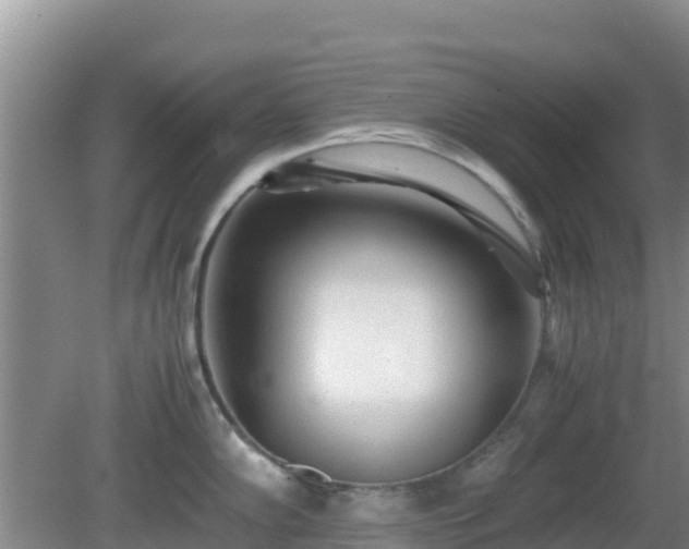 X0000081351102200701182040