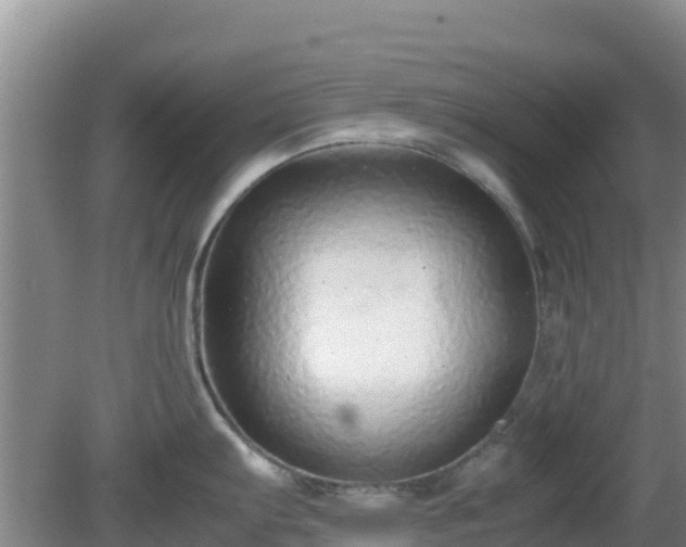 X0000081351103200701182040