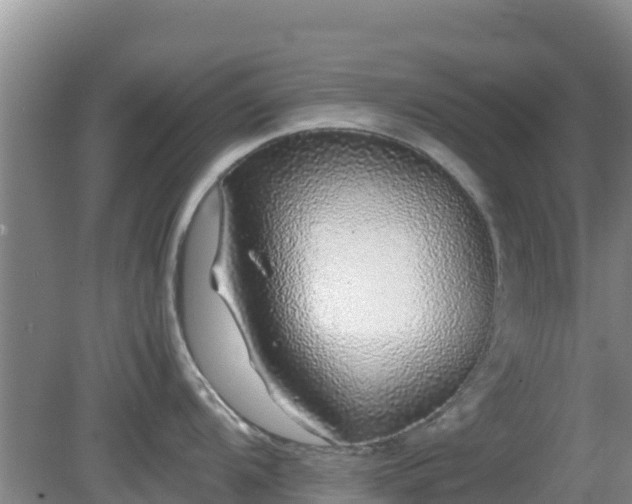 X0000081351104200701182040