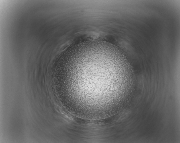 X0000081351105200701182039