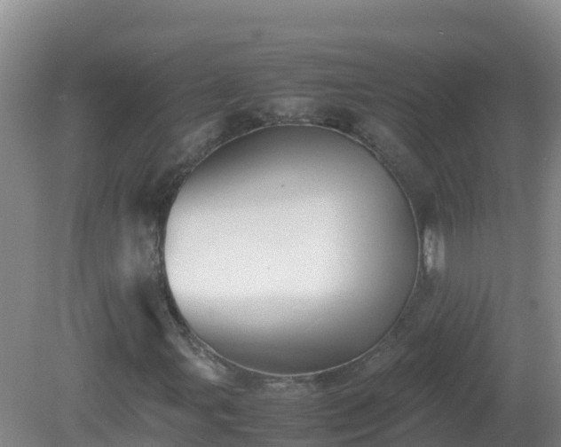 X0000081351107200701182039