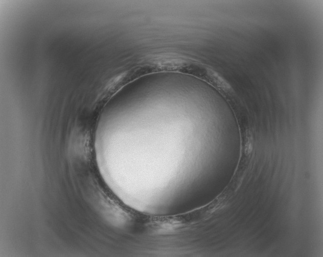 X0000081351108200701182039