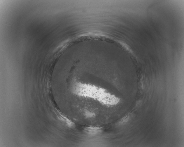 X0000081351110200701182039