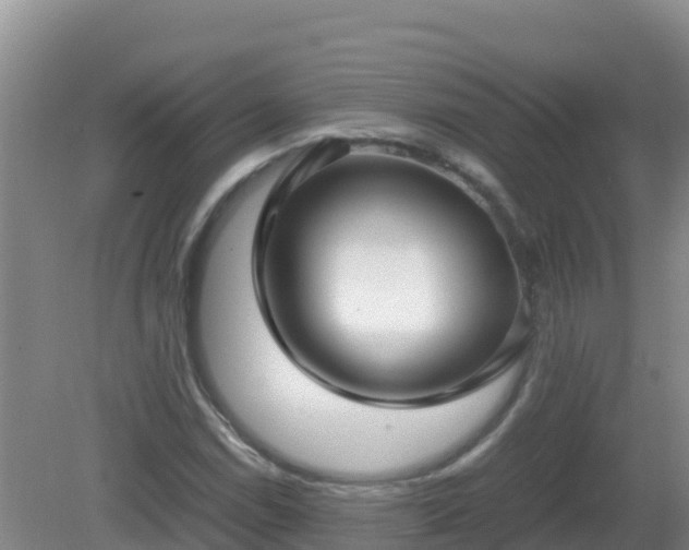 X0000081351114200701182039