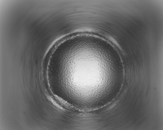 X0000081351116200701182039