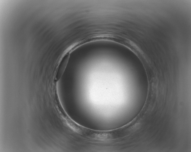 X0000081351129200701182040