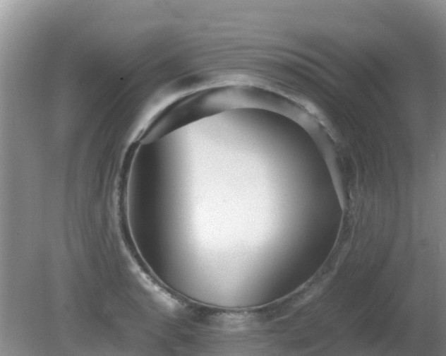 X0000081351134200701182040