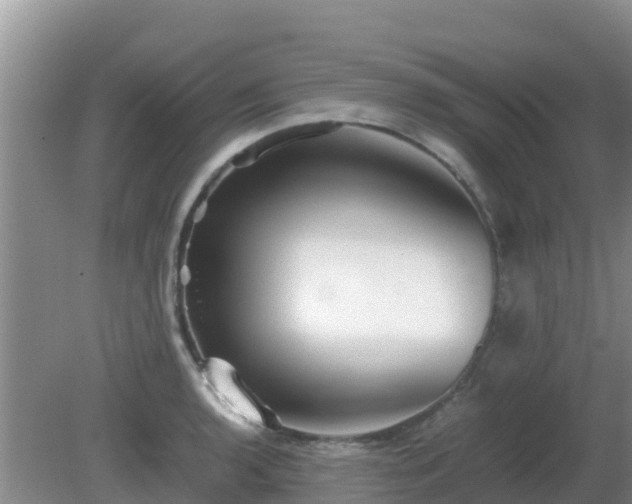 X0000081351136200701182040