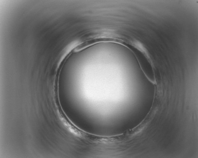 X0000081351138200701182040
