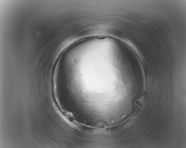 X0000081351142200701182040