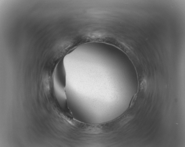 X0000081351156200701182039