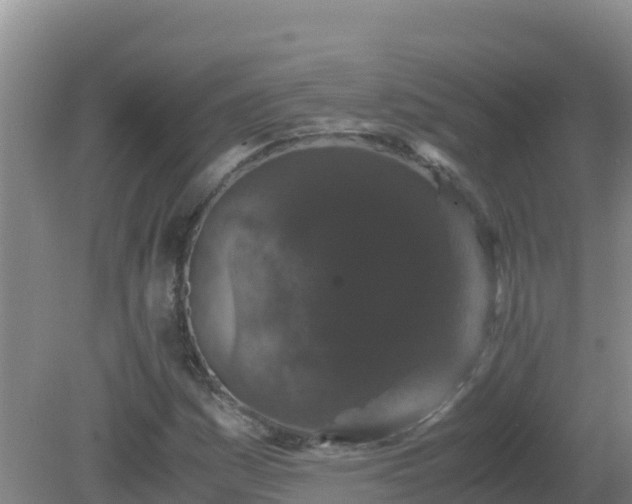 X0000081351161200701182039