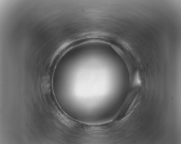 X0000081351164200701182039