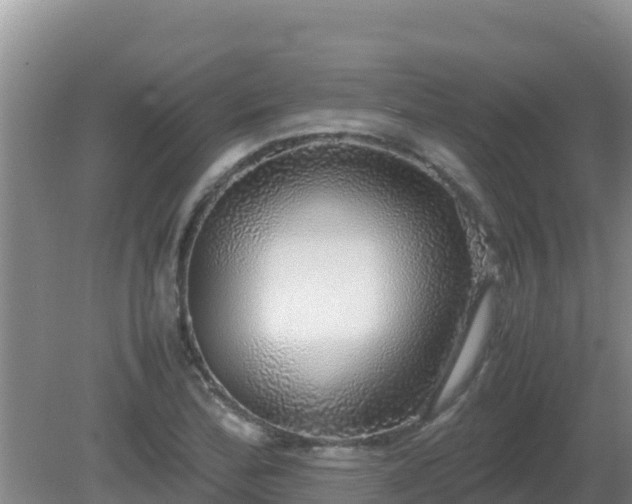 X0000081351172200701182039